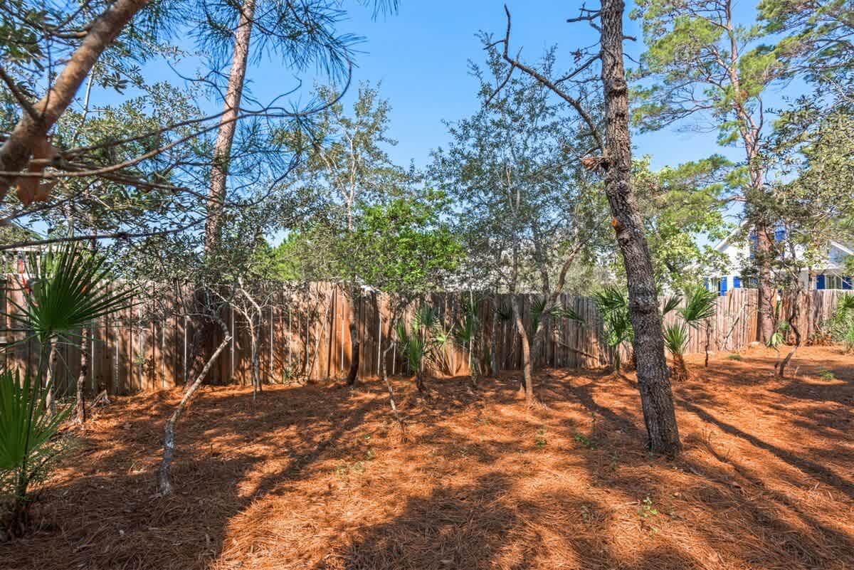 Goin' Coastal - Image 50