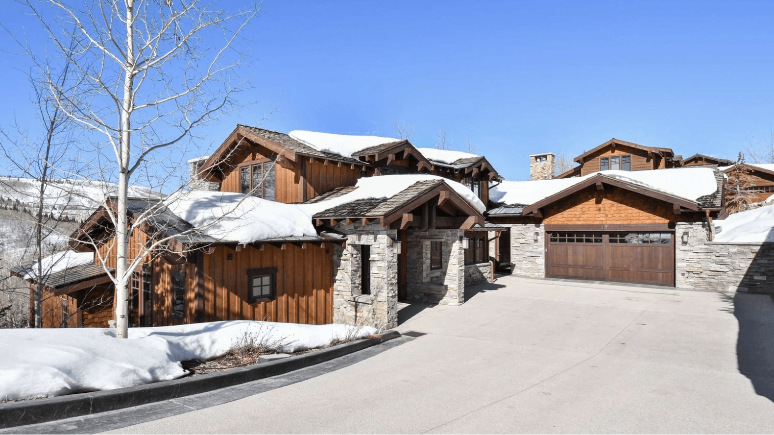 Silver Sun - Image 3