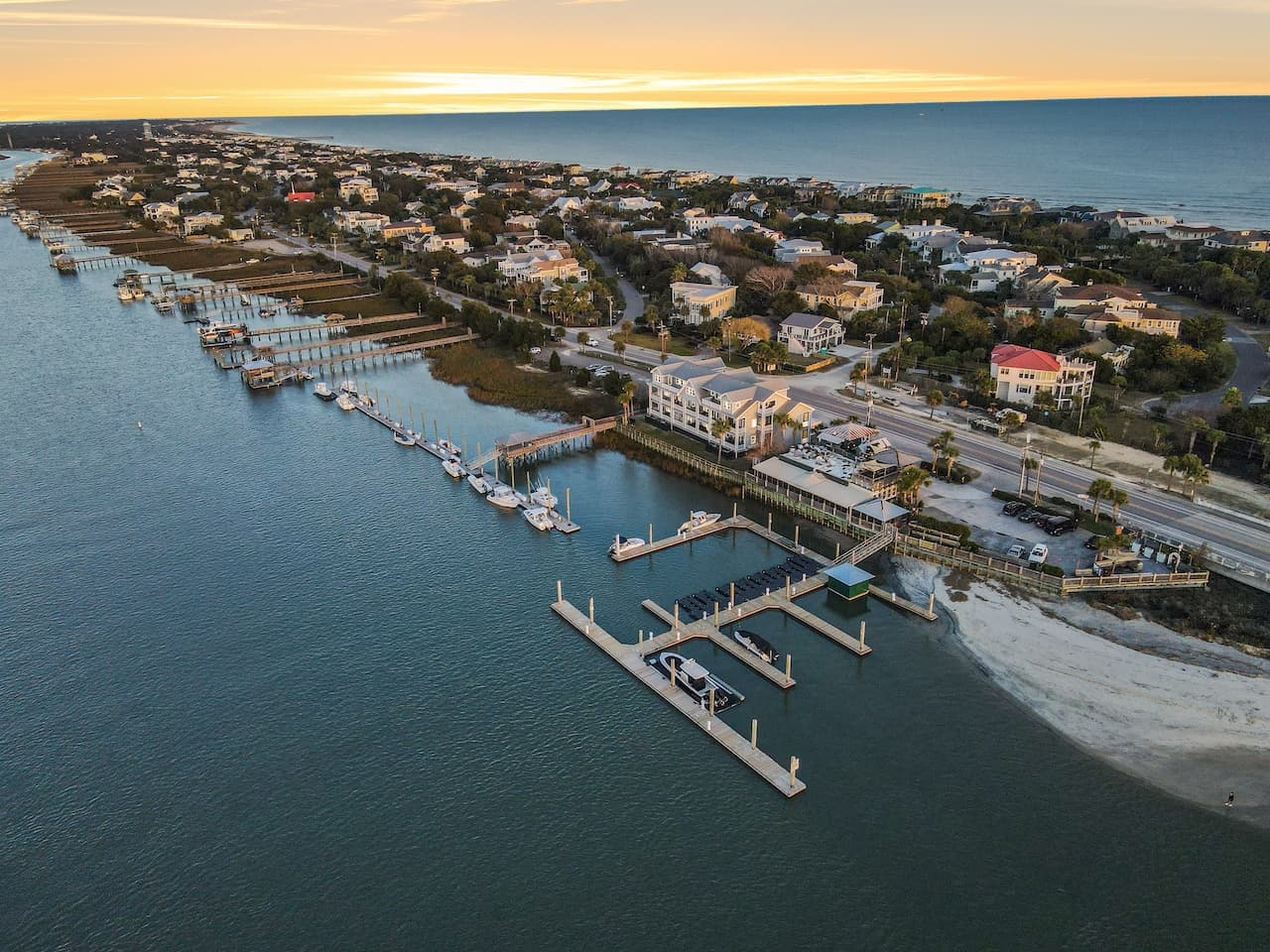 Palms Postcard - Image 64