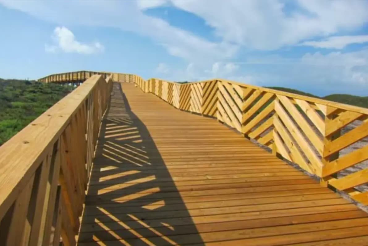 Doctor's Orders Residence - Image 46