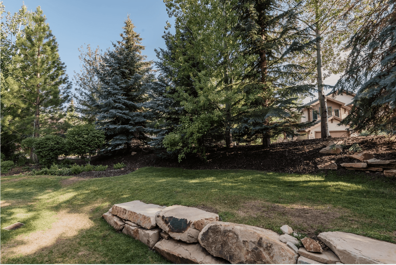 Conifer Nest - Image 30