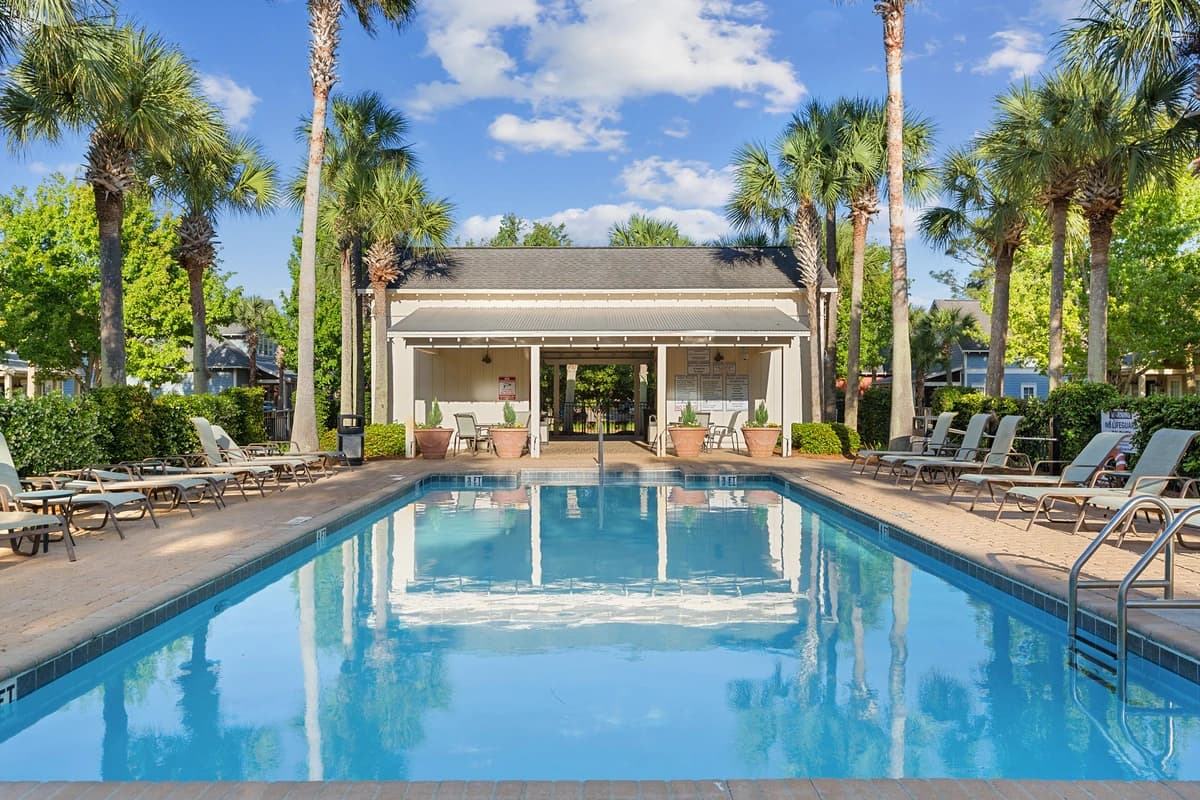 Coral Starfish - Image 27