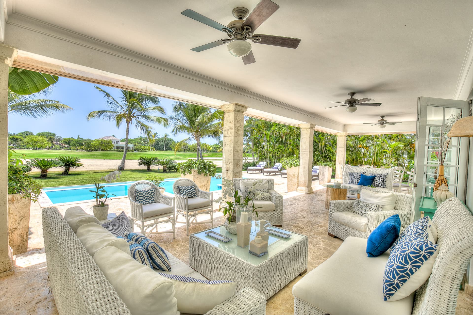 Tortuga Azul - Image 13