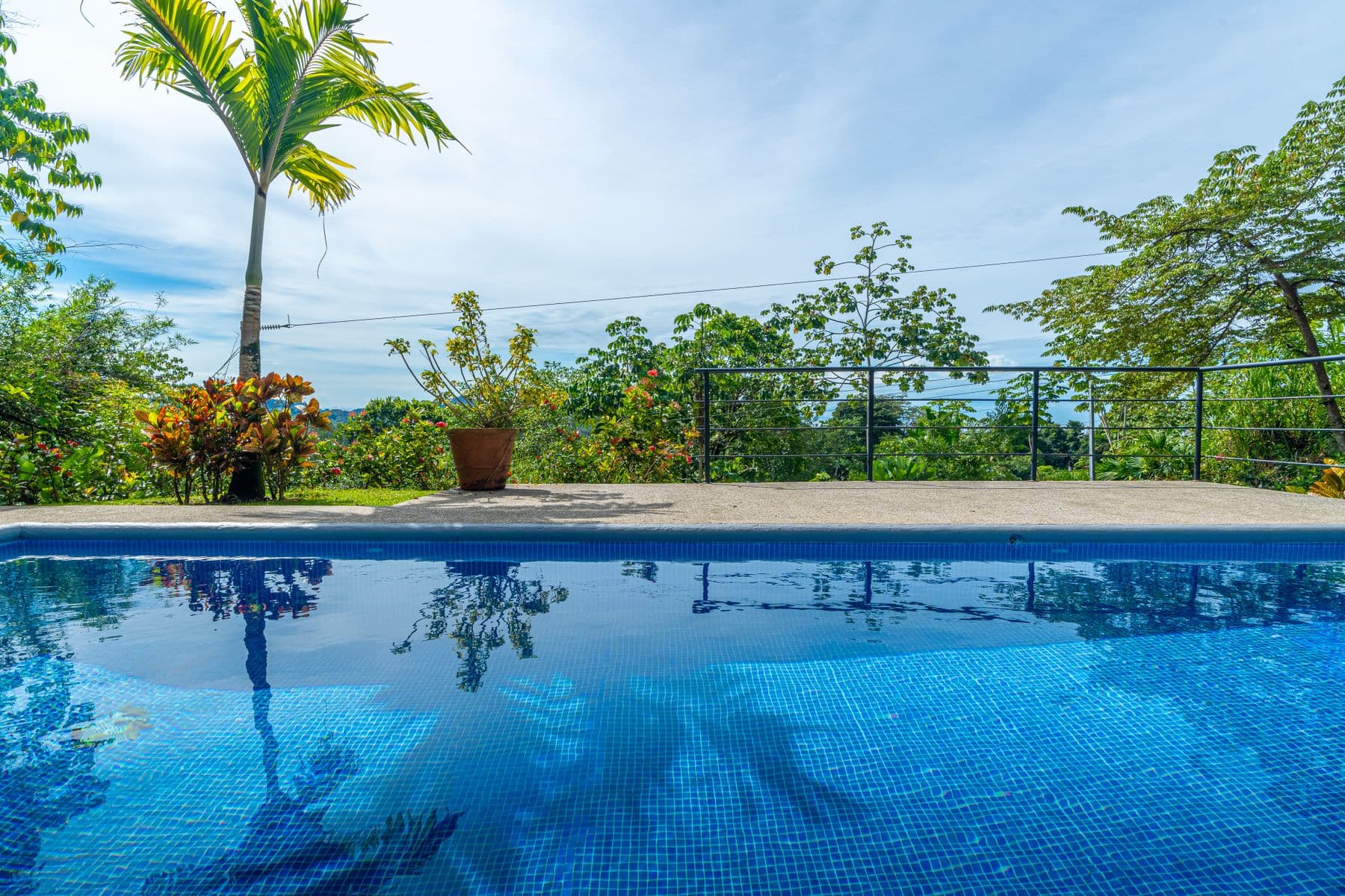 Casa de Guacamaya - Image 36