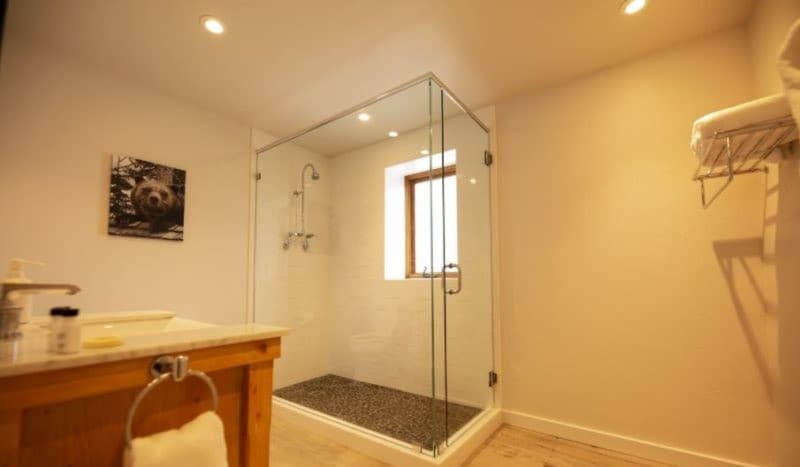 Little Coyote #2573 - Image 21