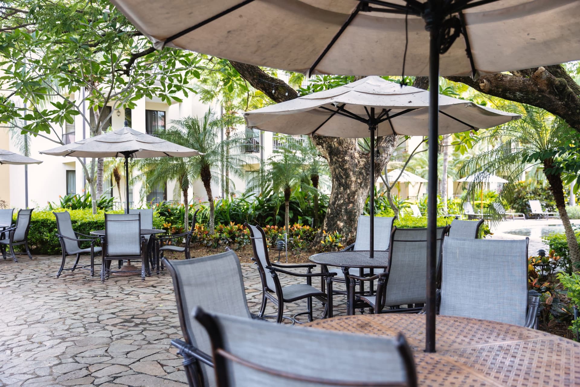 Lazy River Residence - Image 25