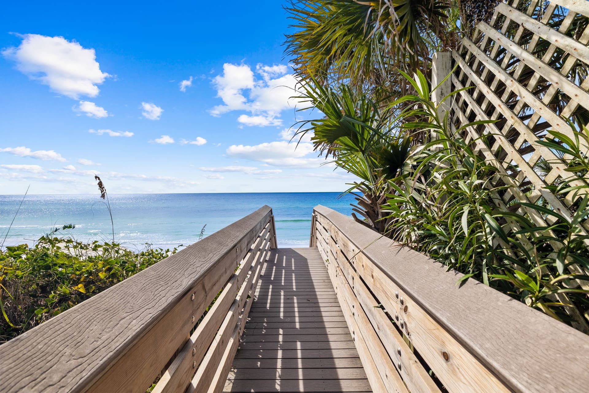 Wave on Wave - Image 46