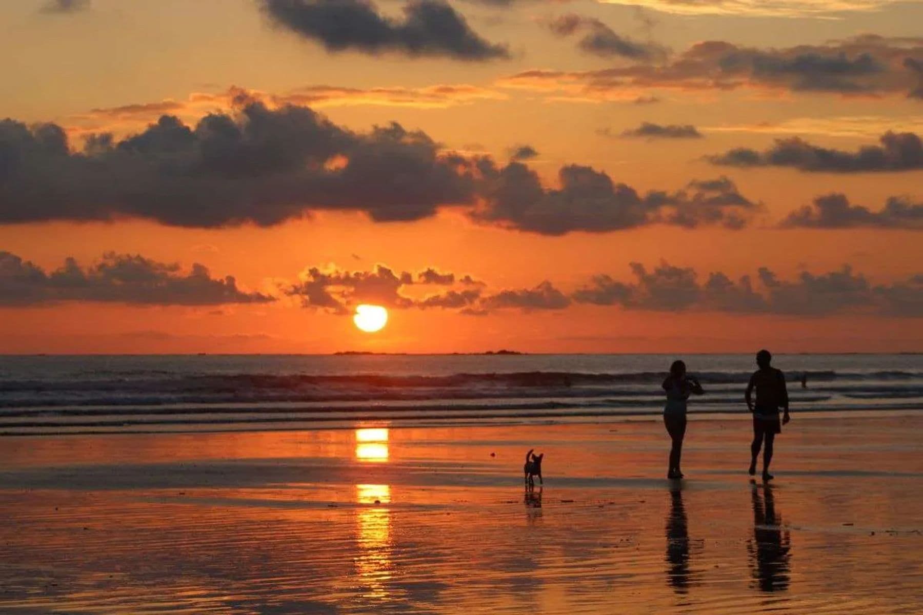 Casita Quetzal - Image 34