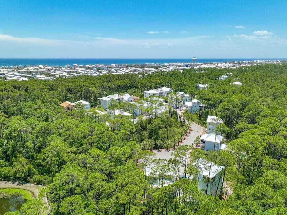 Joy of Life - Image 2