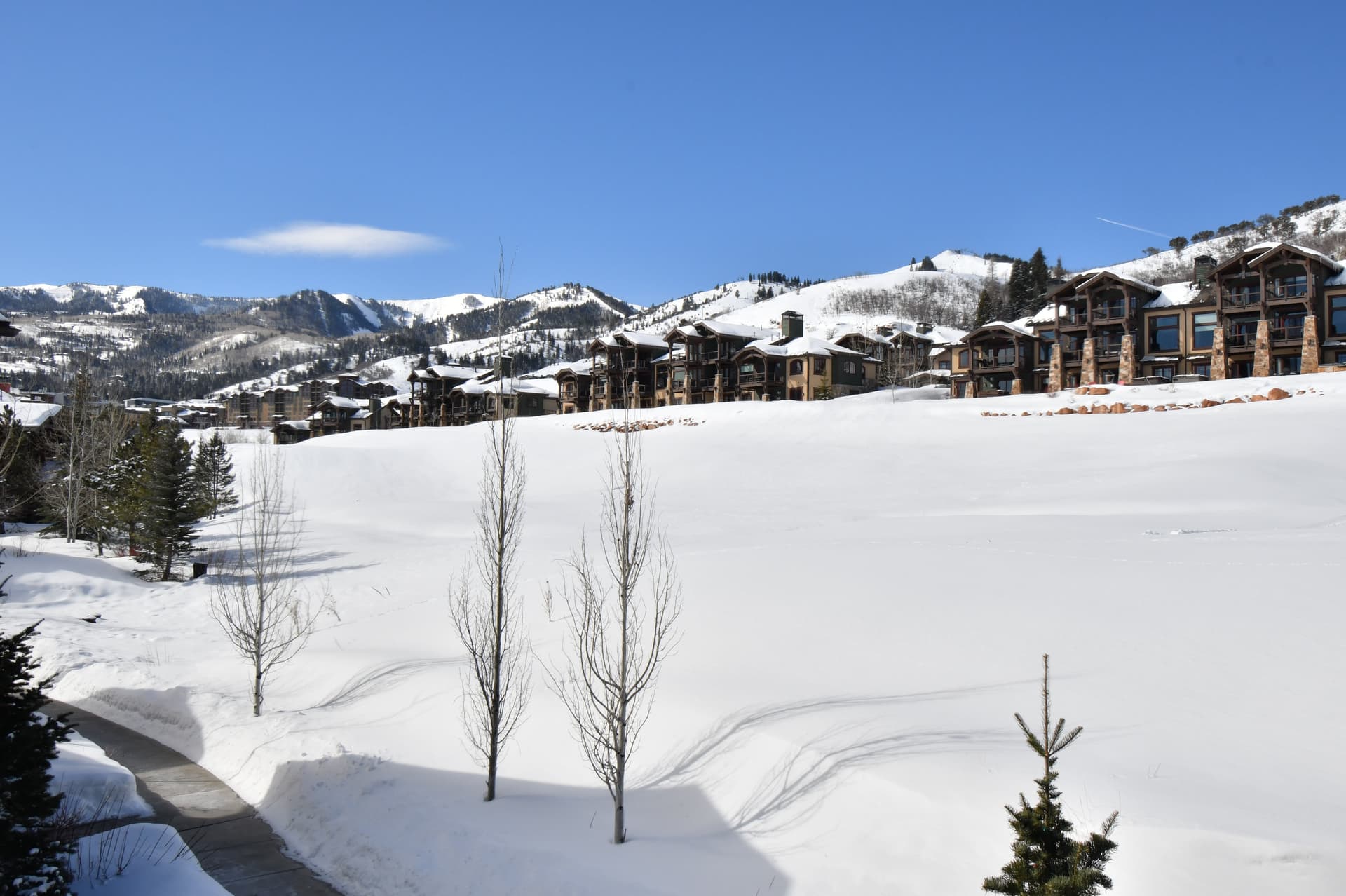 Juniper Residences #403 - Image 2