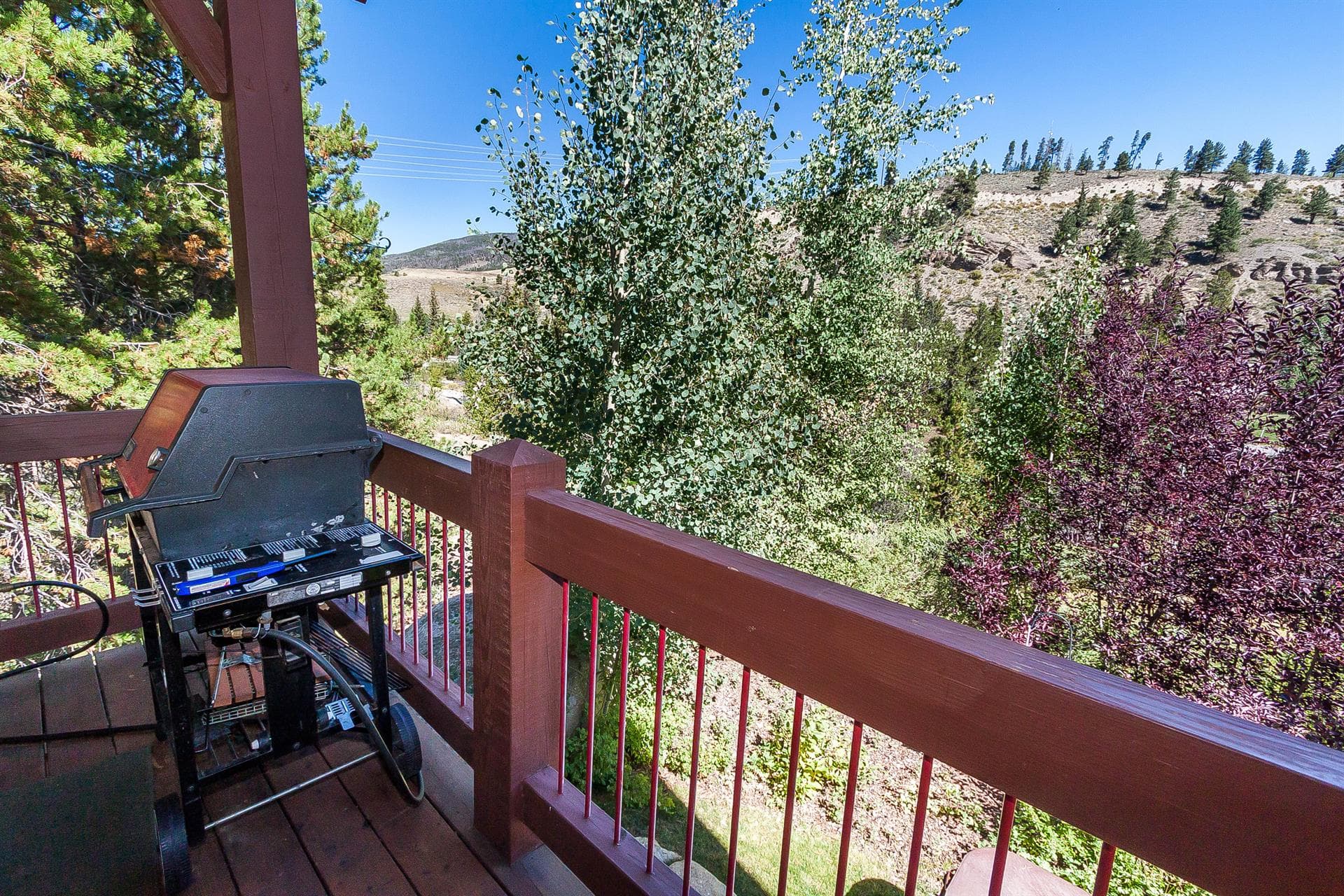 Elk Circle - Image 15