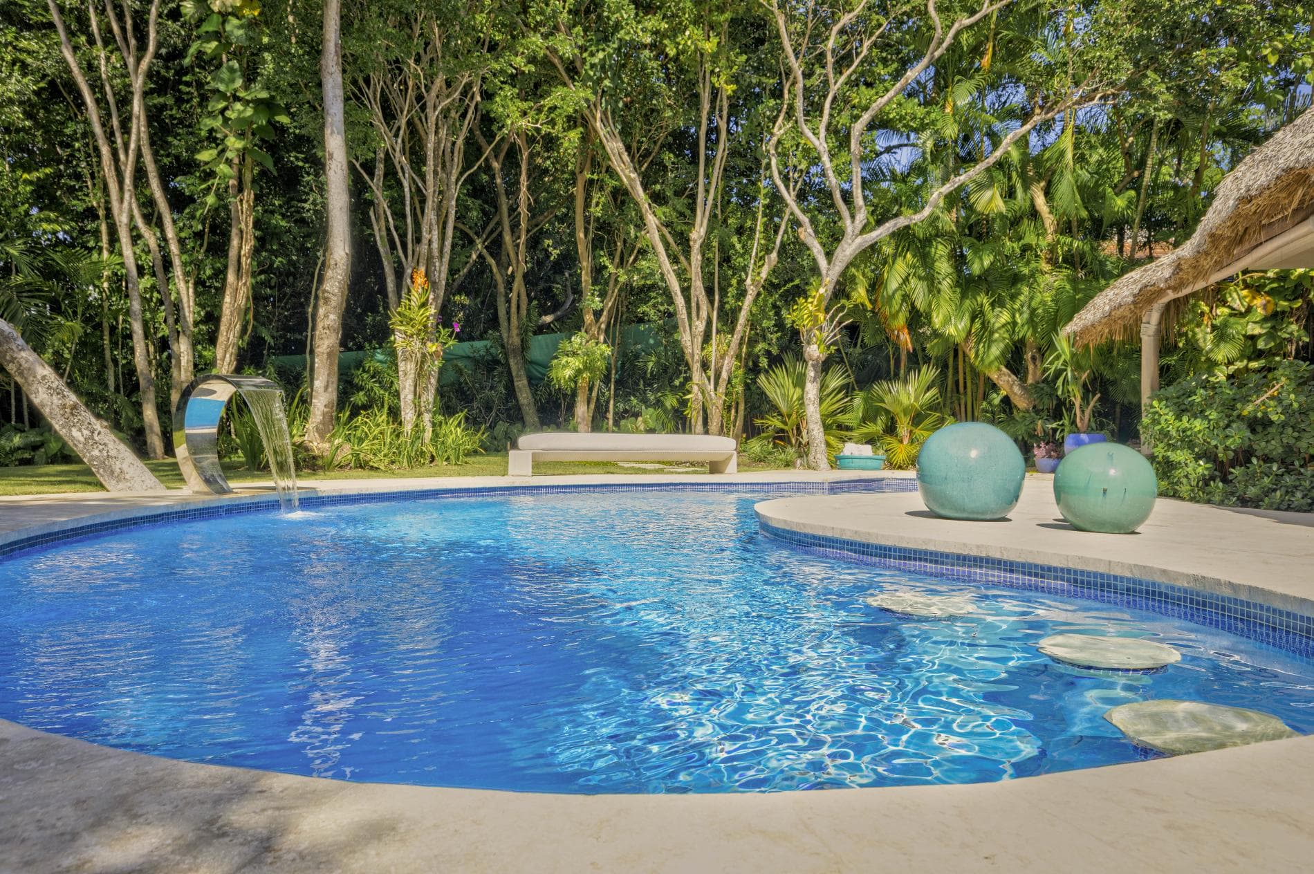 Tortuga #B55 - Image 2