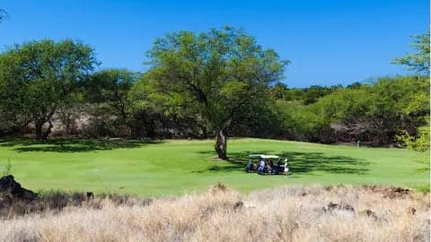 Seabreeze - Image 46