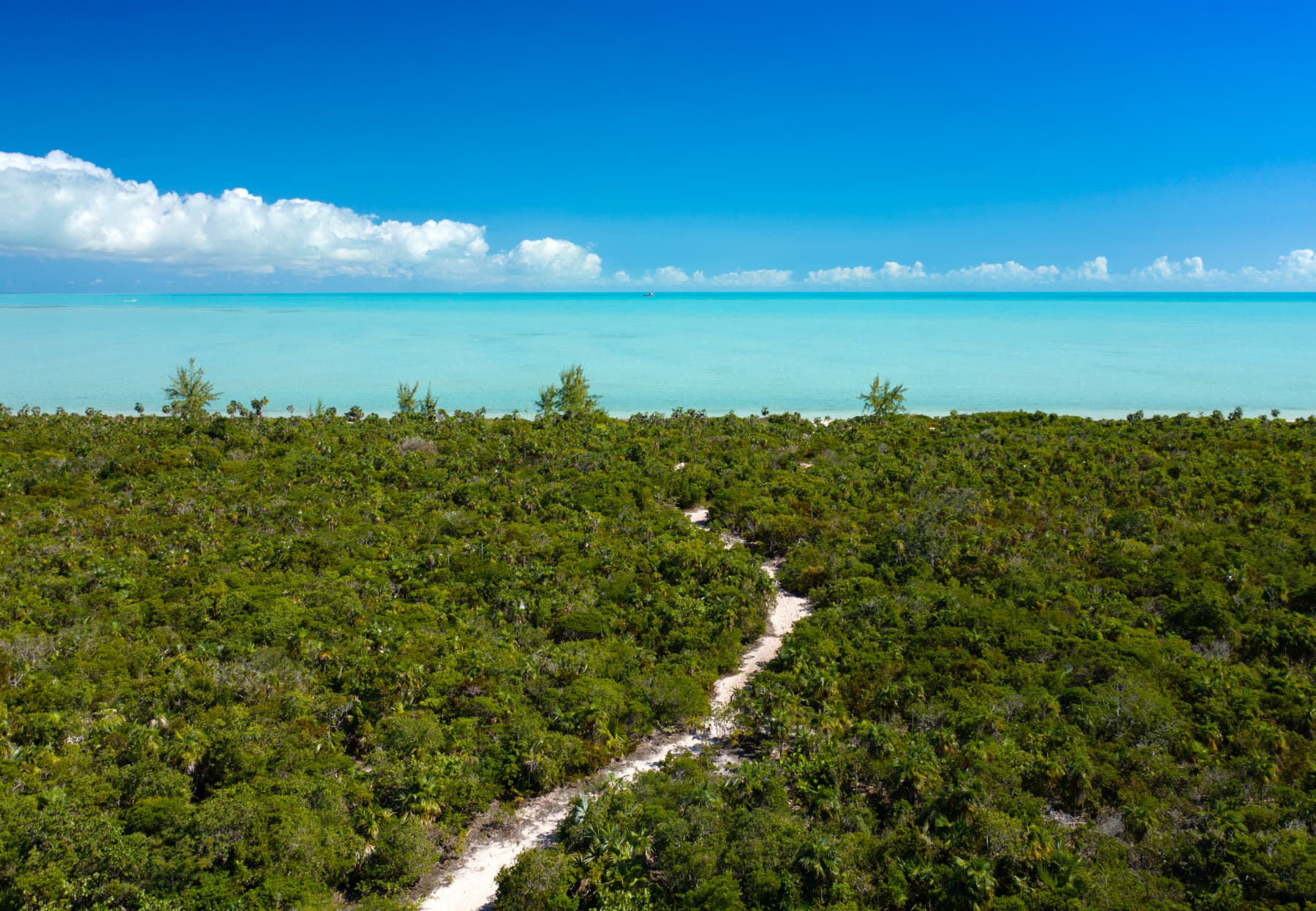 Bora Villa - Image 33