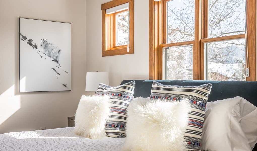 Little Coyote #2573 - Image 3