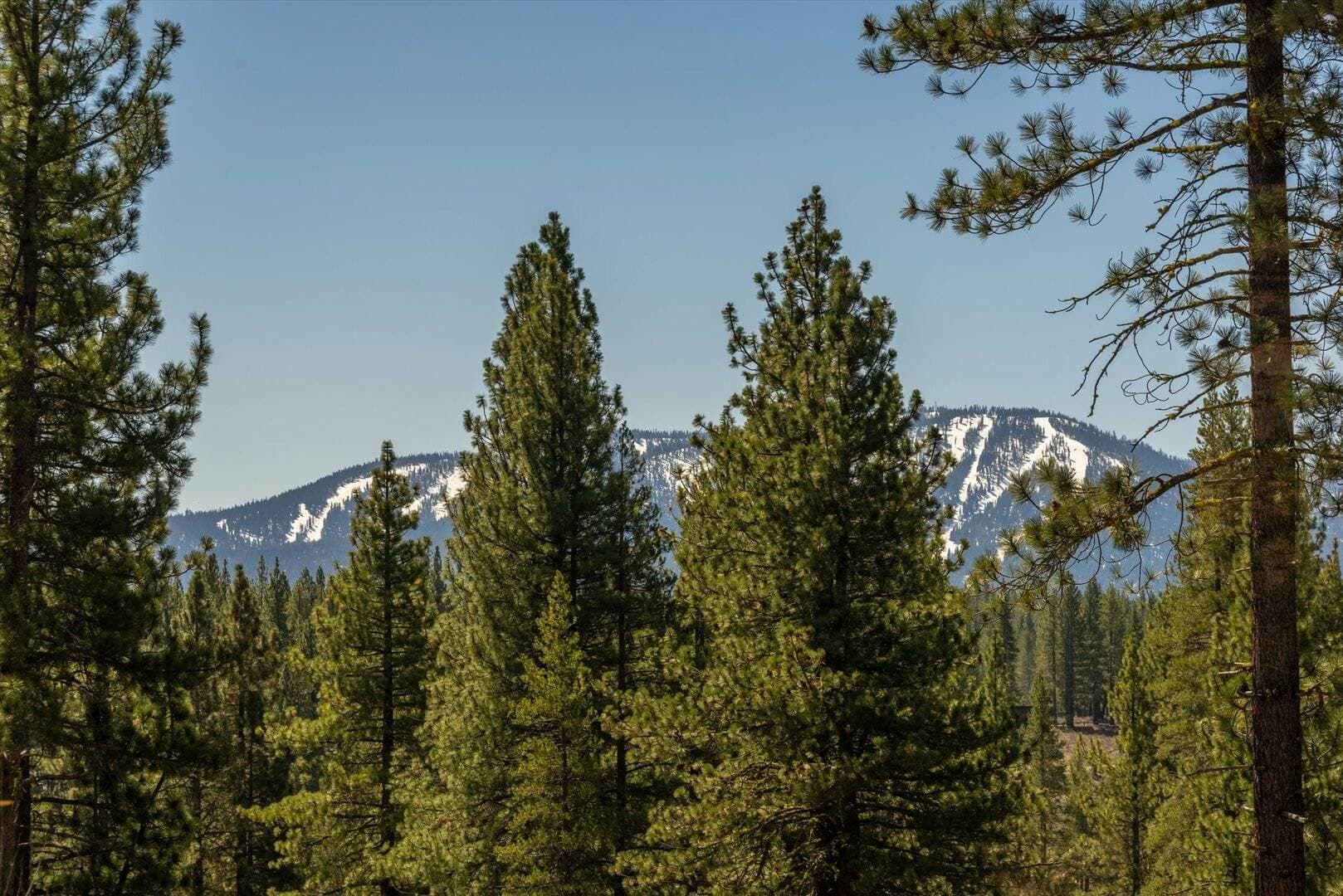 Lavish Cabin at Gray's Crossing - Image 29