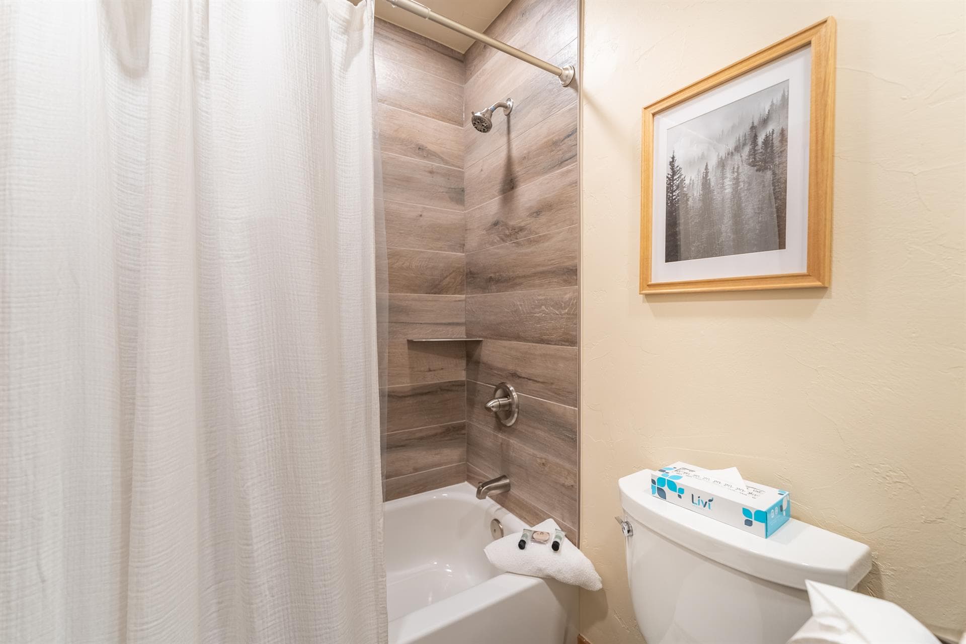 Alpine Home - Image 30