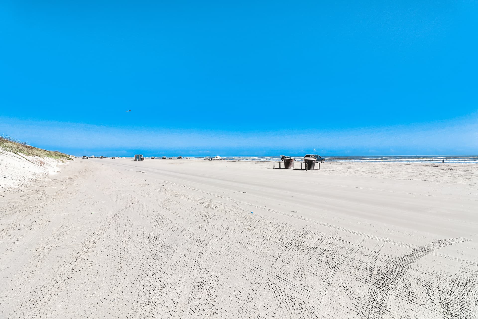 Sun-drenched on Sundew - Image 39