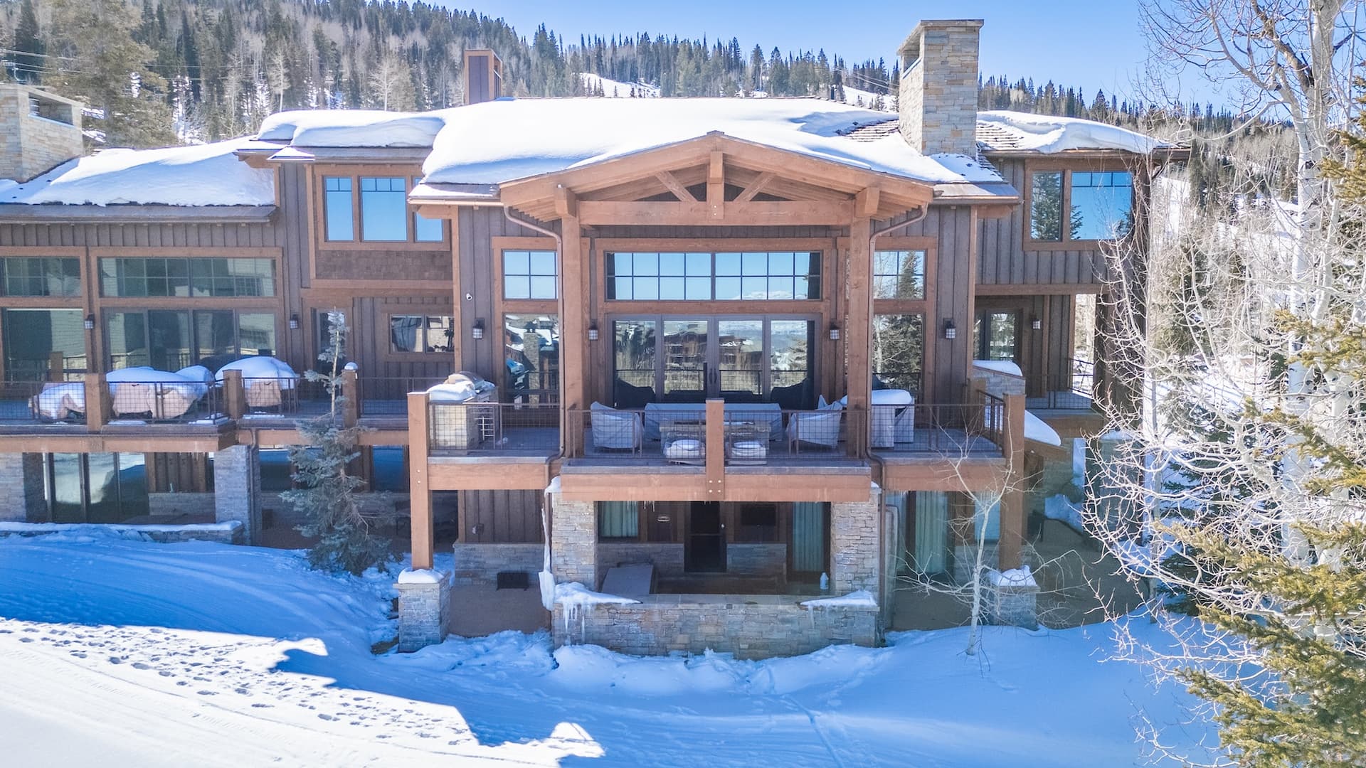 Silver Buck - Image 56