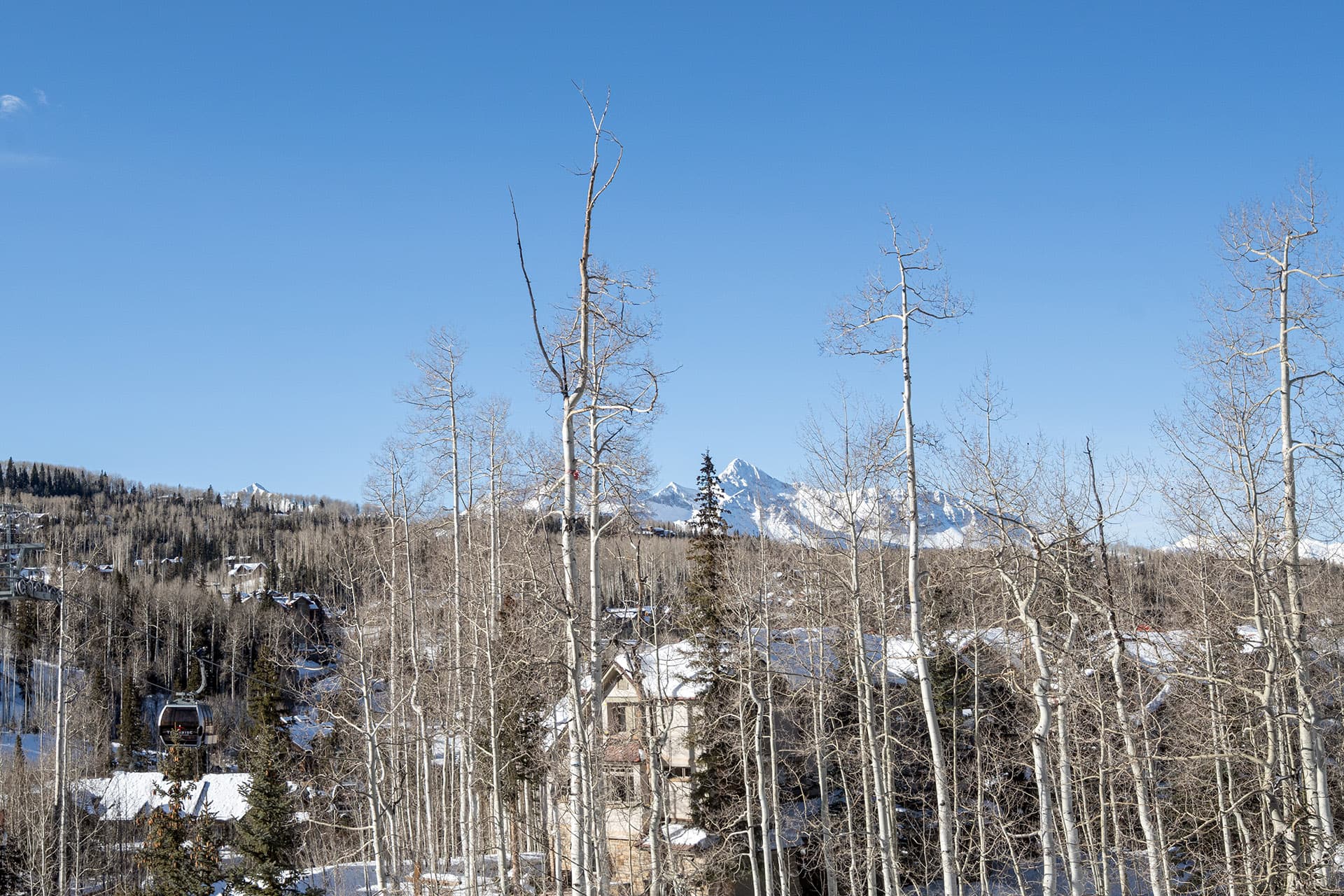 Granita Green - Image 8