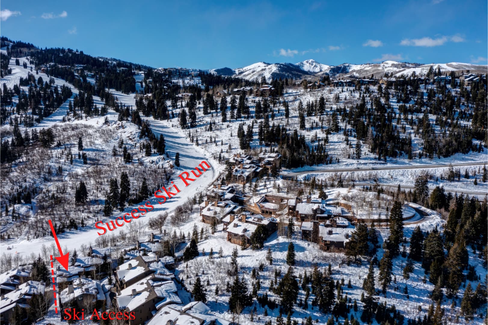 Success View - Image 48