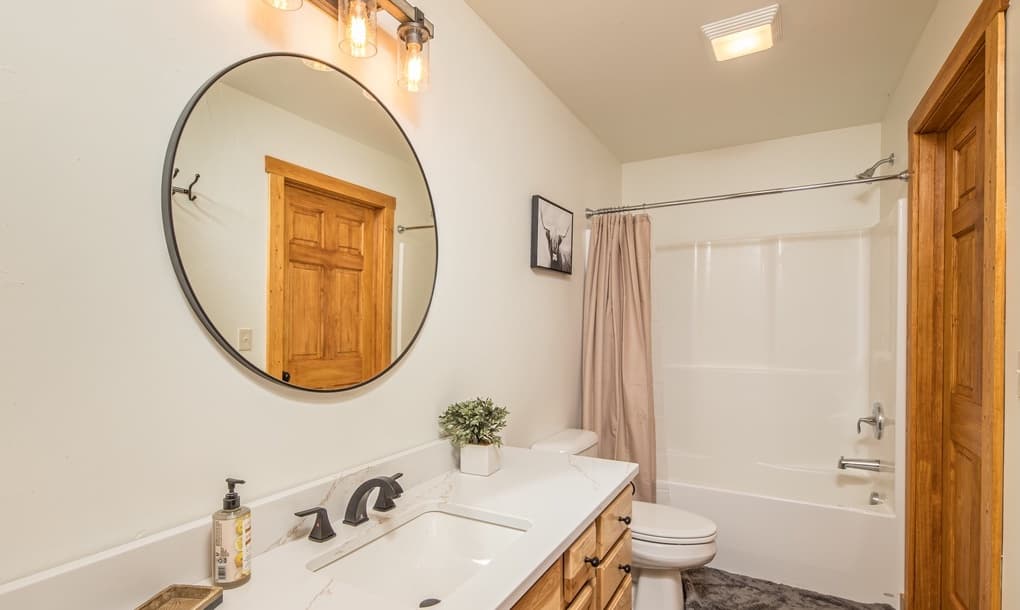 Blacktail Buck - Image 10