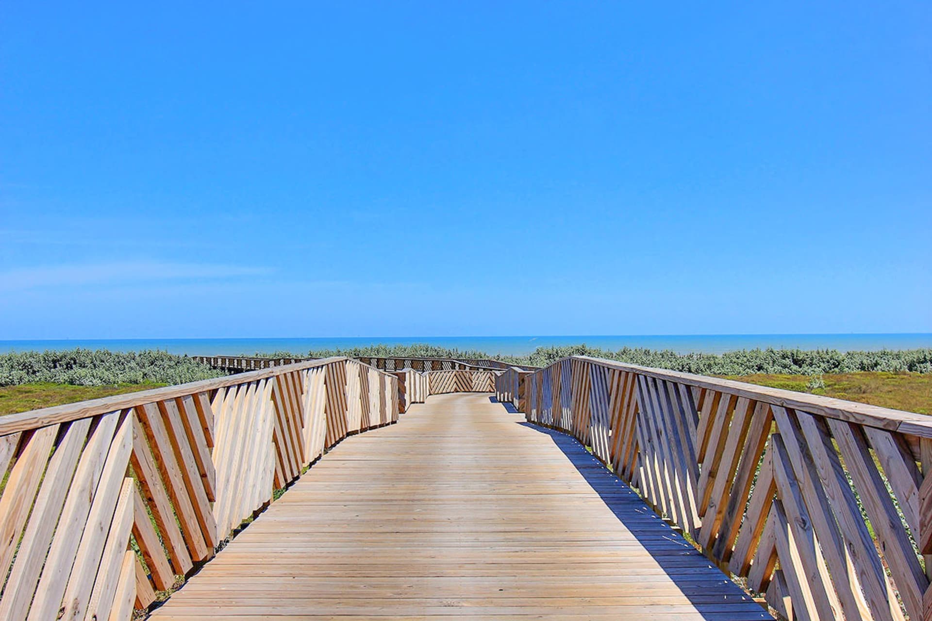 Palmilla Opulence - Image 32