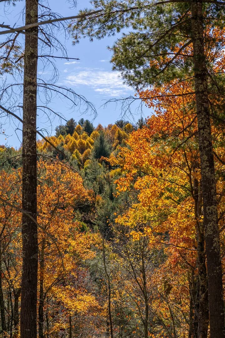 Sunset Ridge - Image 40