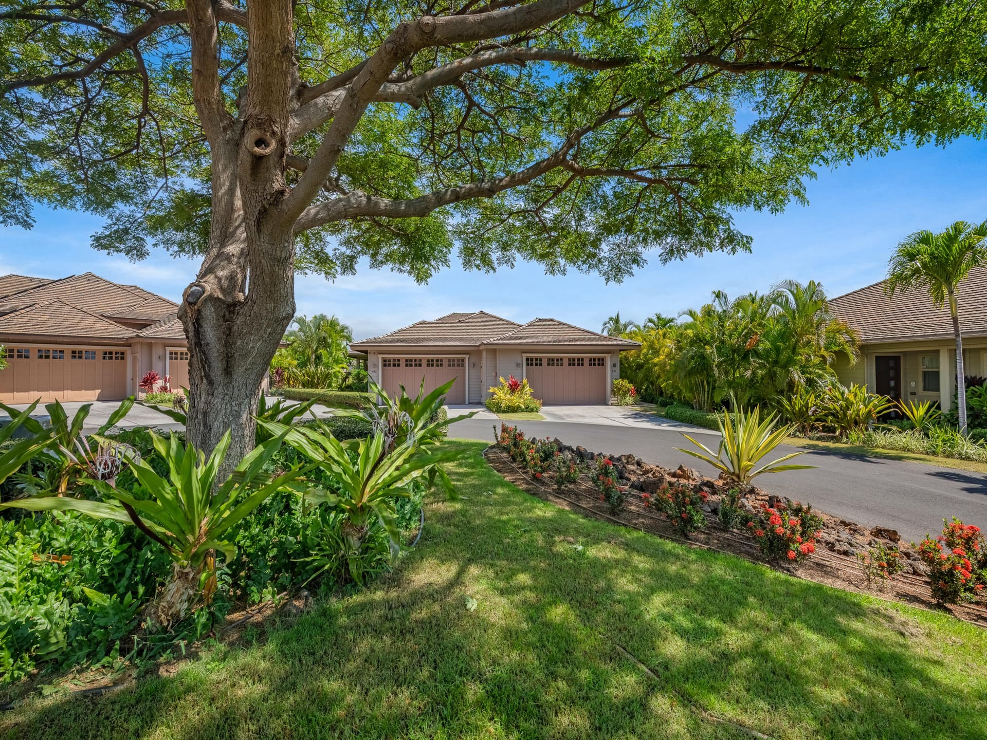 Kamilo #430 - Image 2