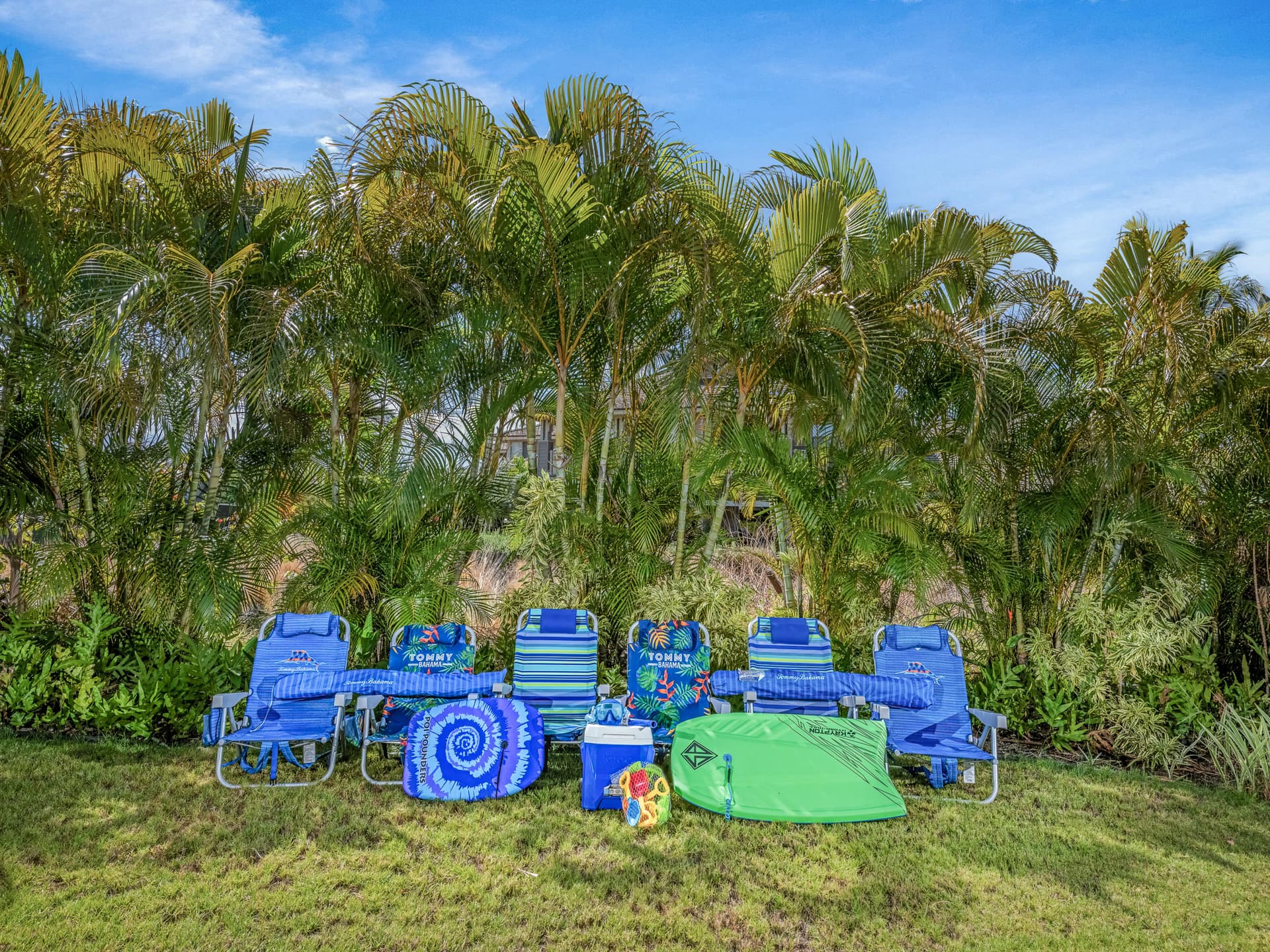 Kamilo #430 - Image 24