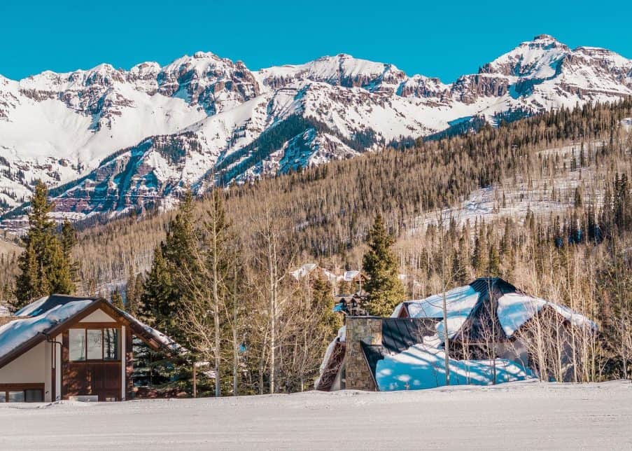 Winterleaf - Image 56