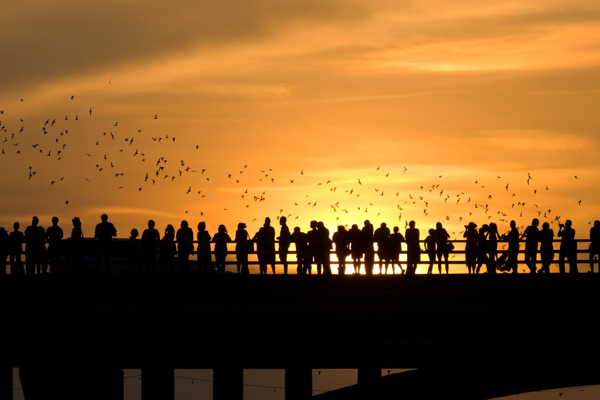 Designer Bungalow - Image 19