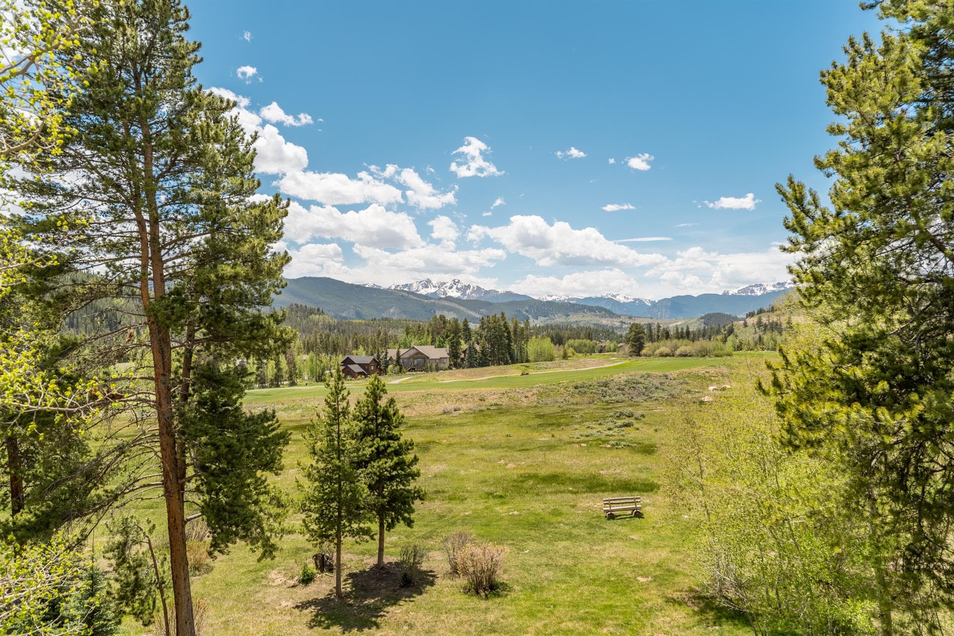 Dreamweaver Home - Image 6