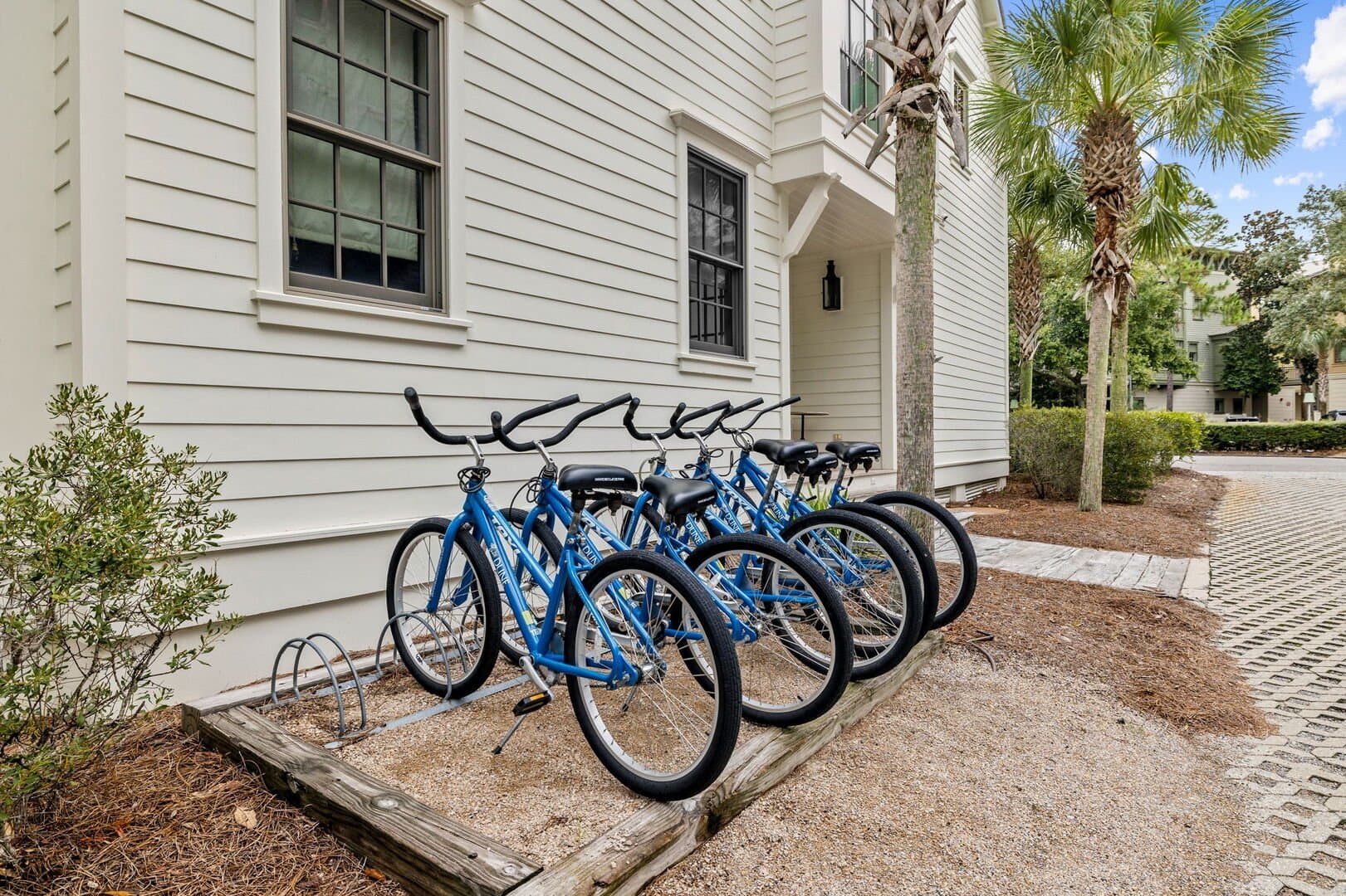 Evergreen Dream - Image 33