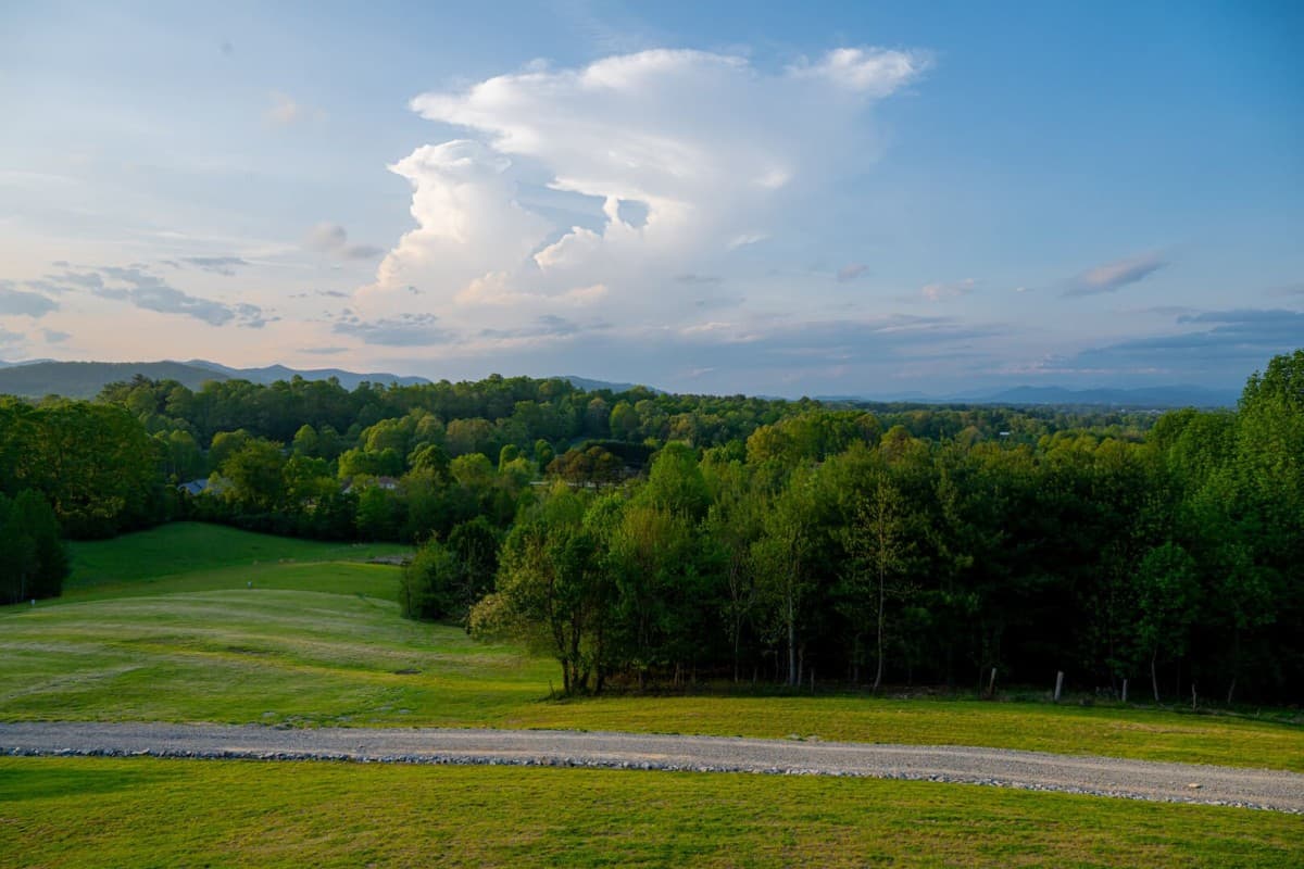 Bridlewood Farm - Image 78