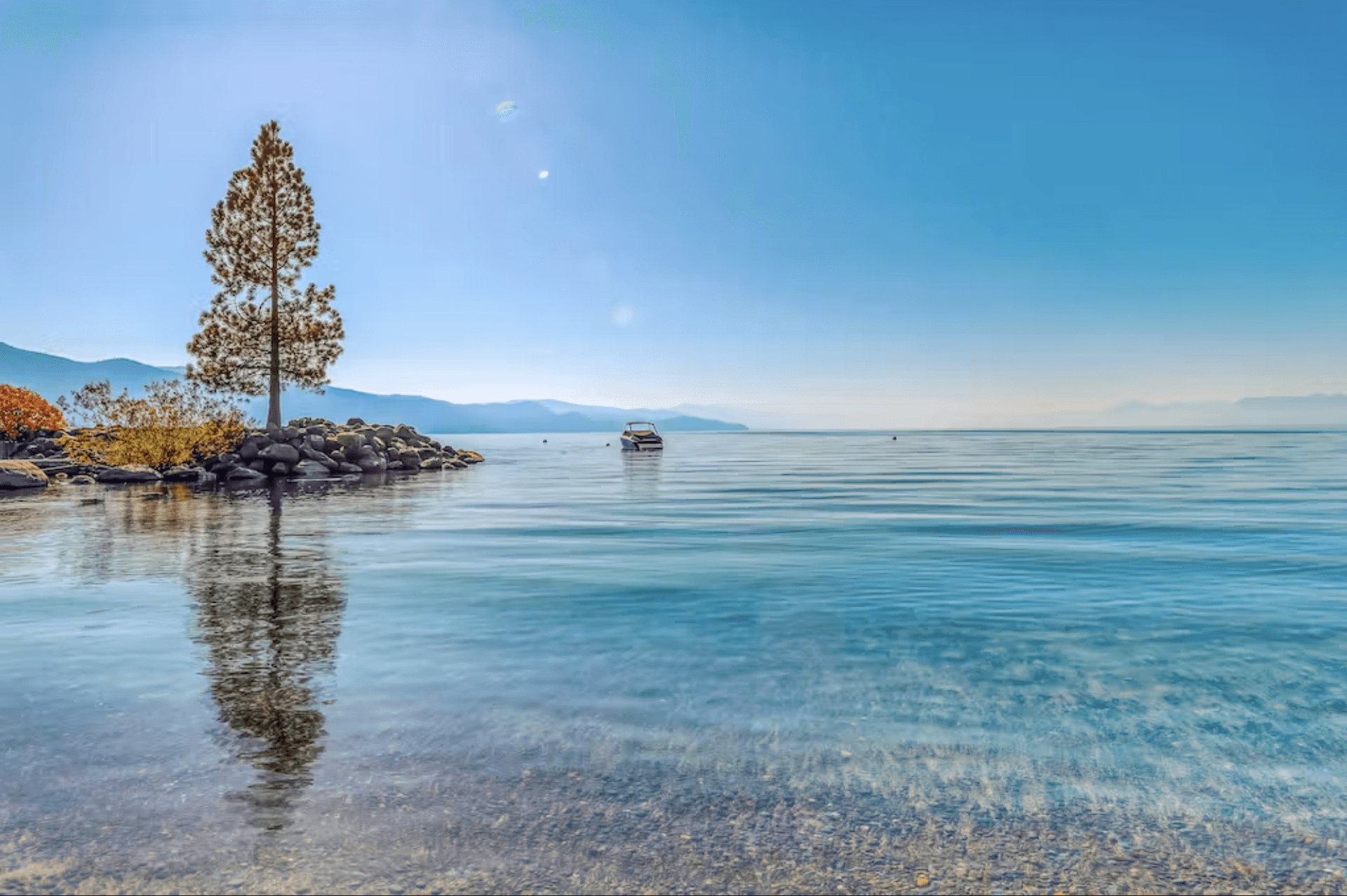 Among the Trees Home - Image 26