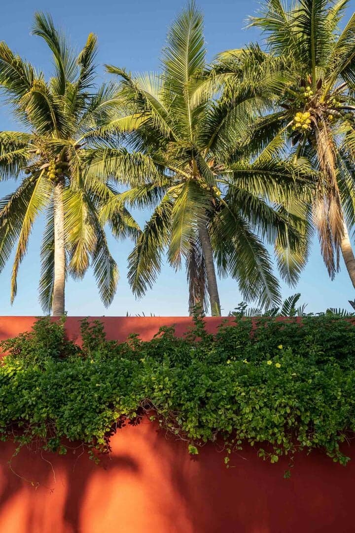 Pacifica Punta Place - Image 4