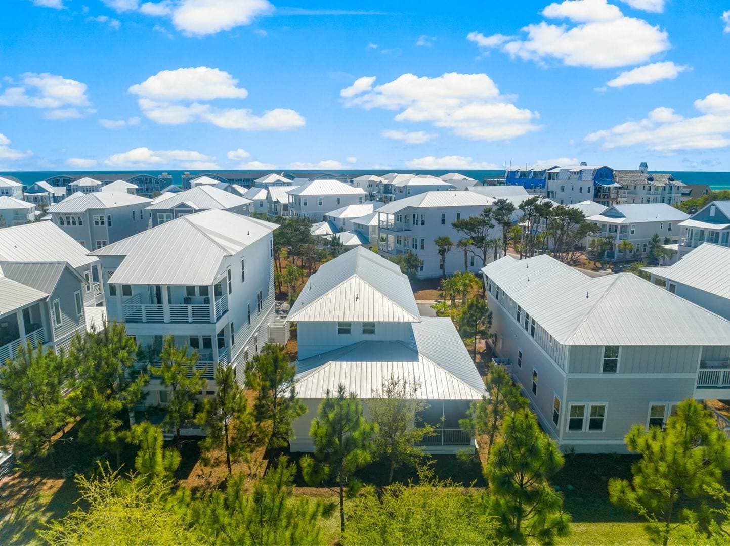 Palm Tree Paradise - Image 51