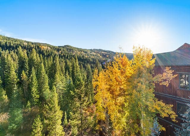 Ina's Way Townhome Unit B - Image 38