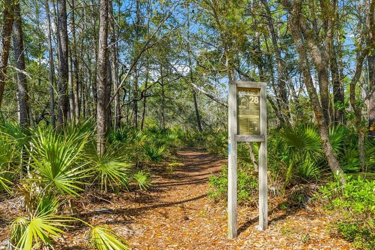 Cypress Sanctuary - Image 30