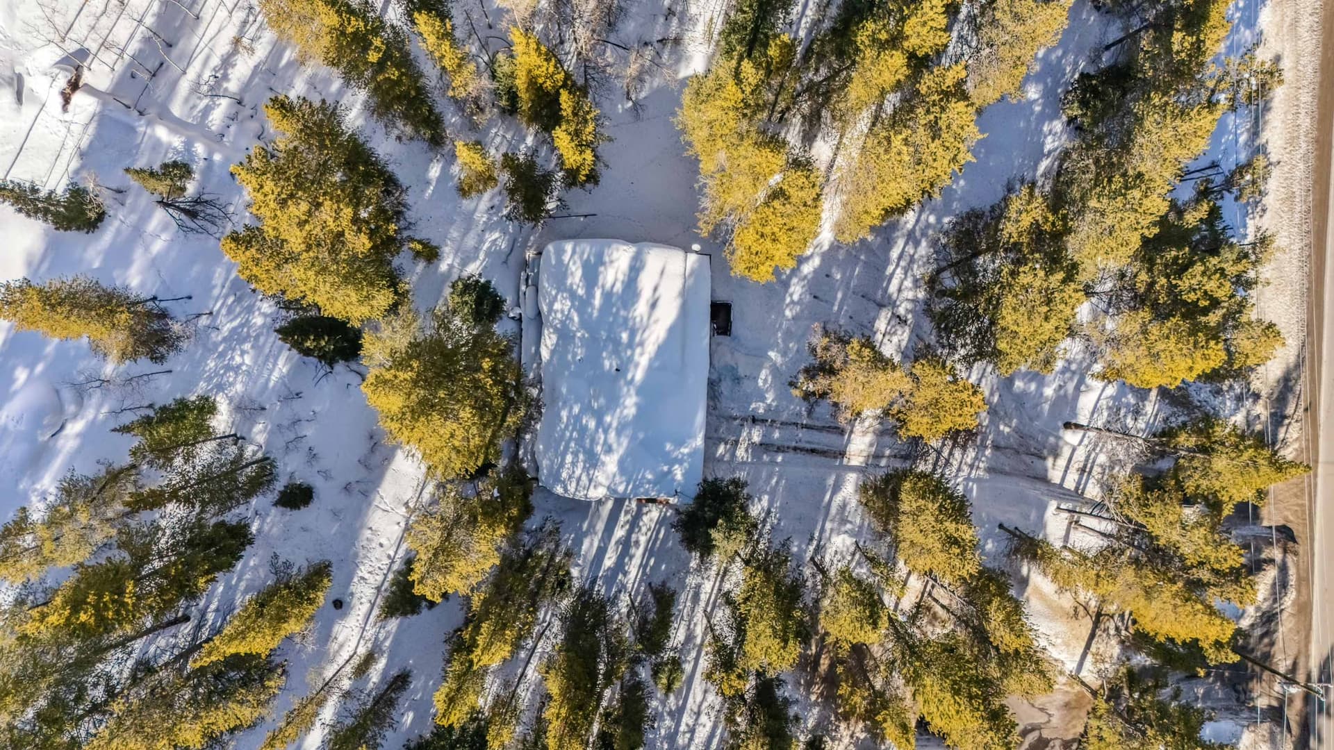 Alpine Roost - Image 31