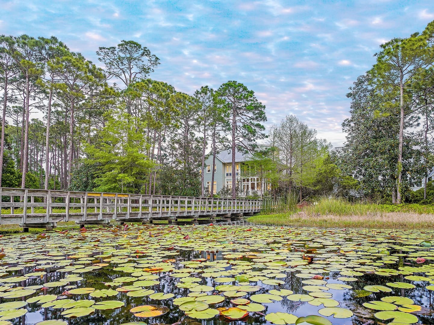 Seabbatical at WaterColor - Image 83