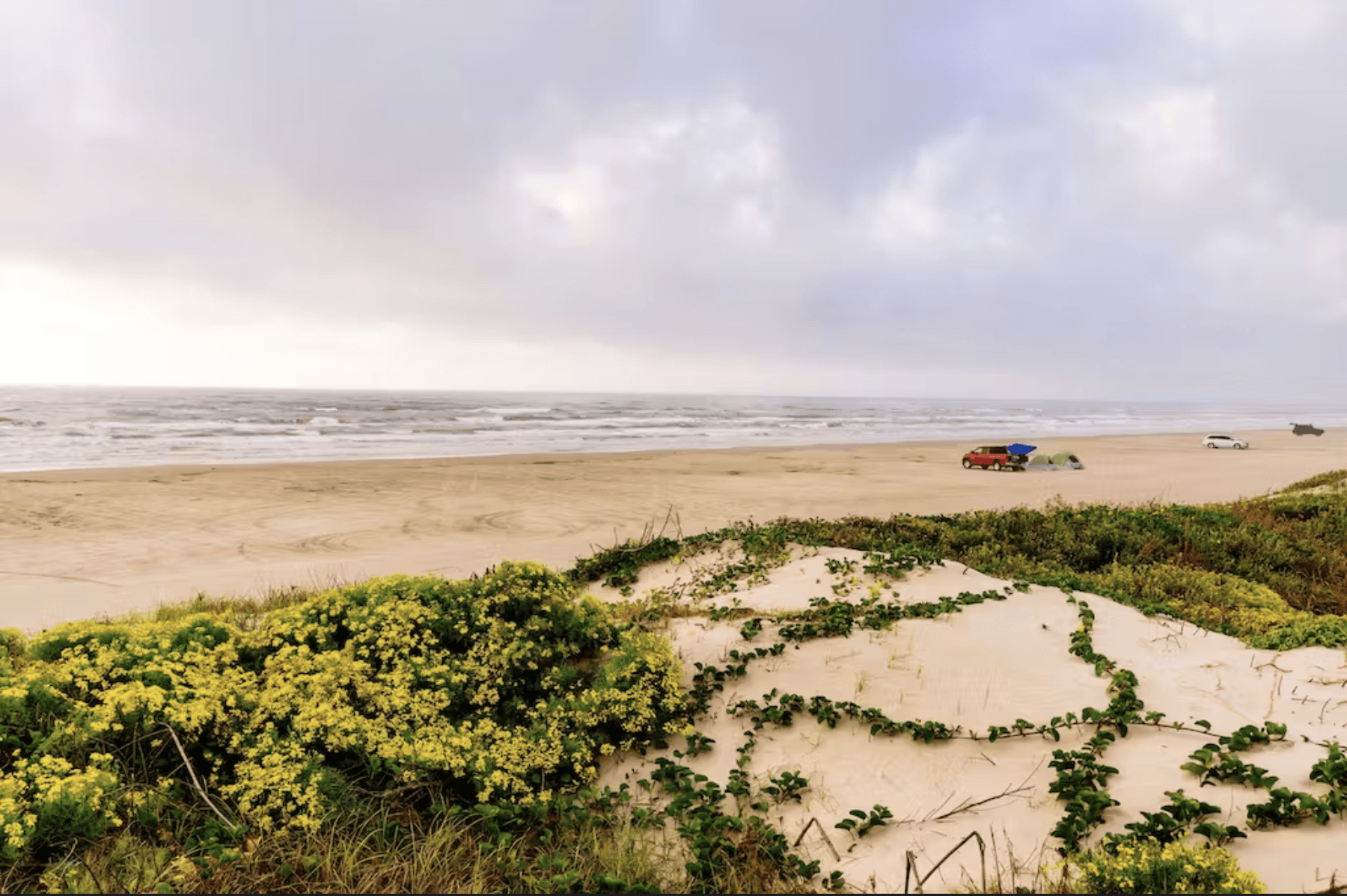 Sunset Palms at Palmilla Beach - Image 25