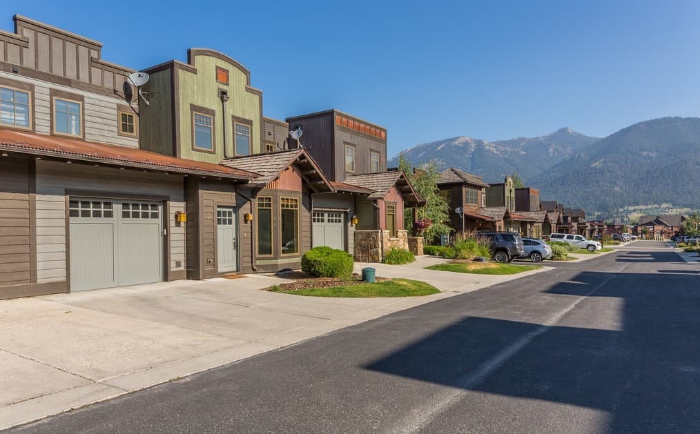 Pheasant #992 - Image 35