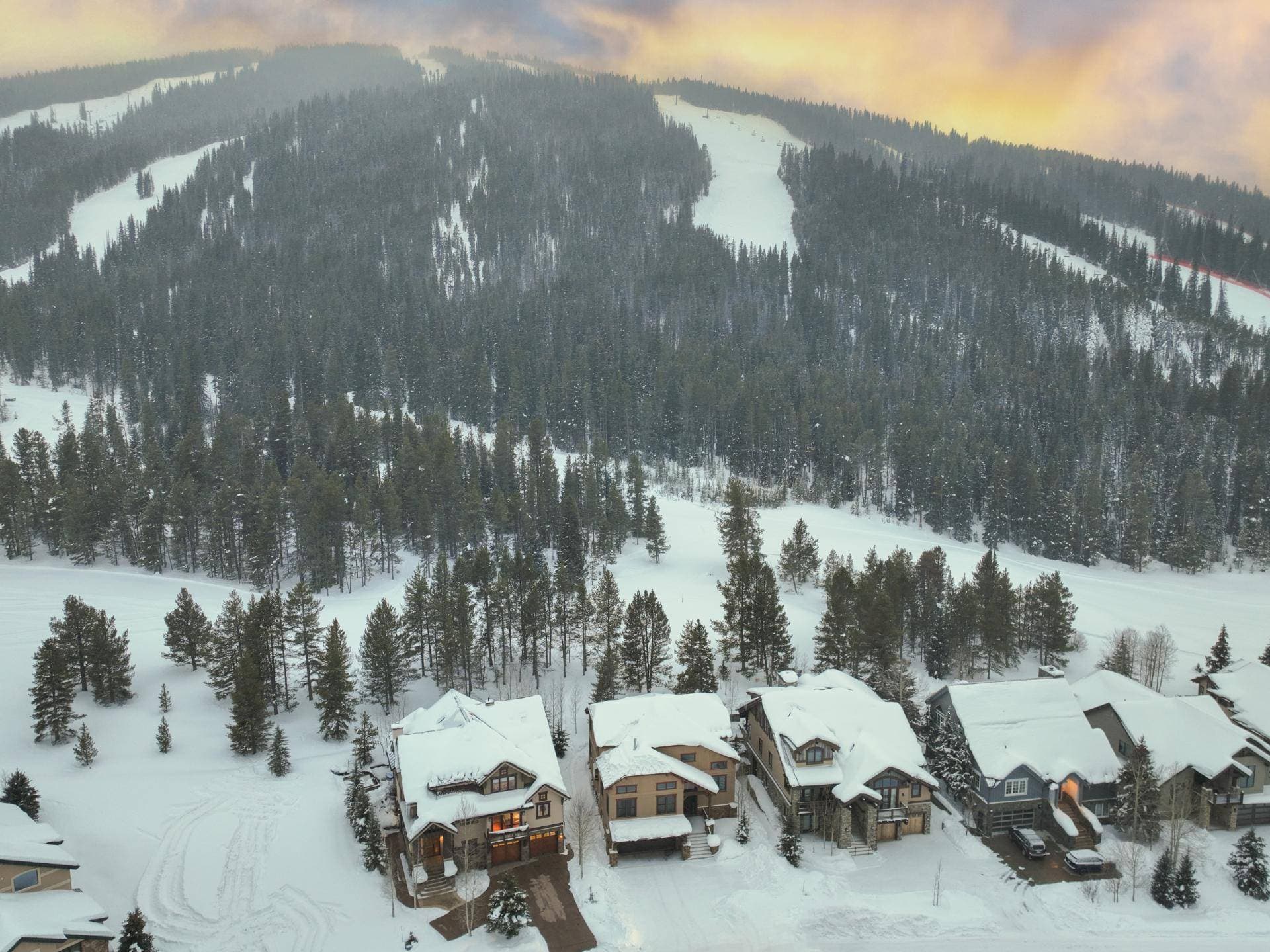 Bee Line Escape - Image 29