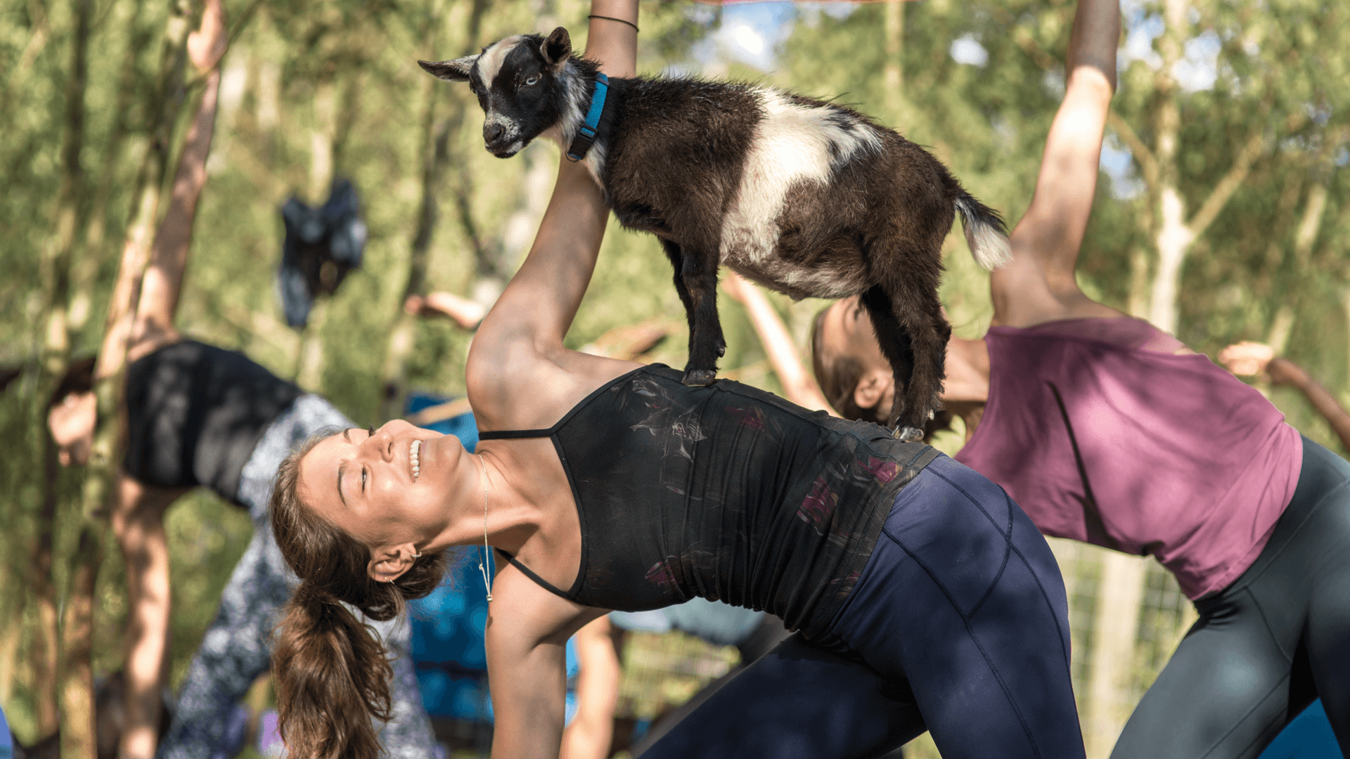 Landmark Condo #203 - Image 17