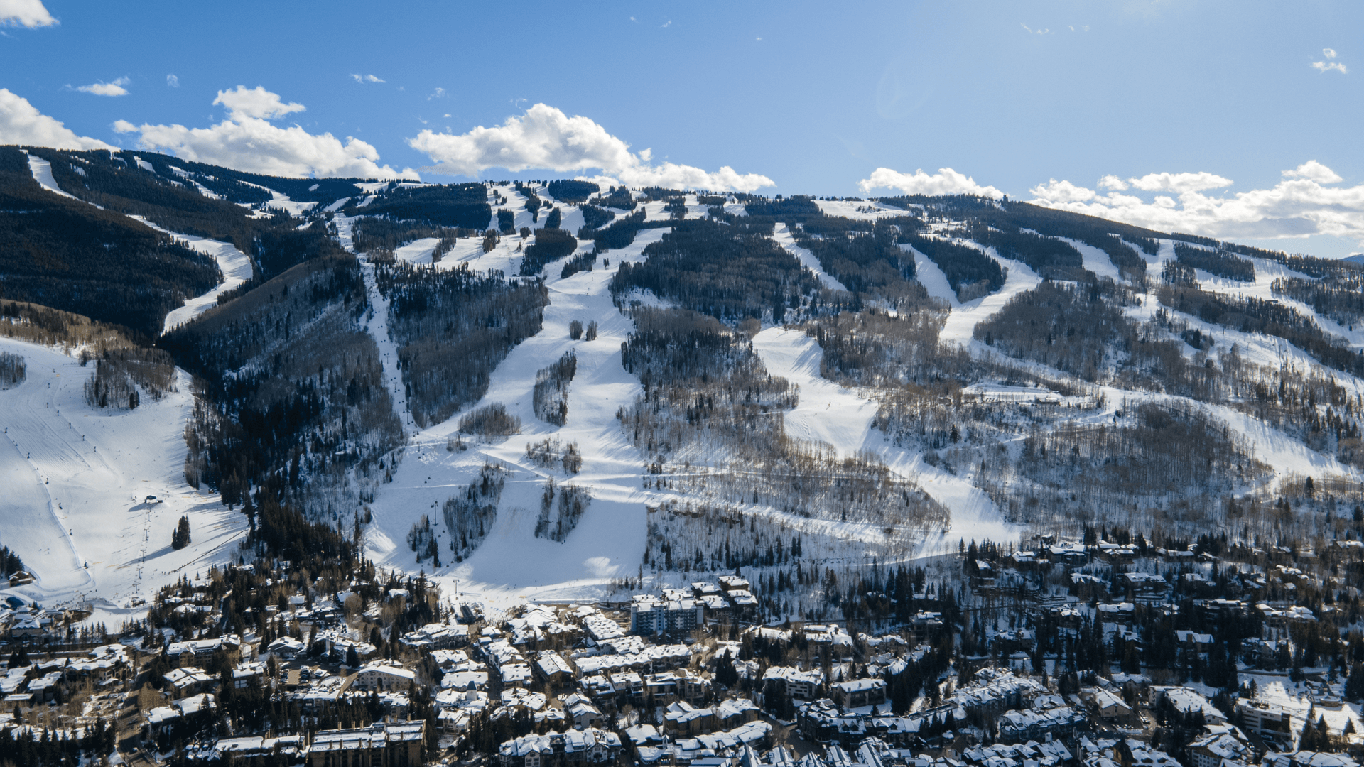 Landmark Condo #203 - Image 32