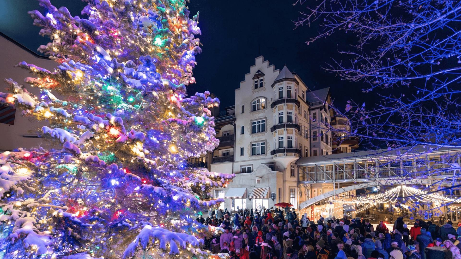 Landmark Condo #303 - Image 25