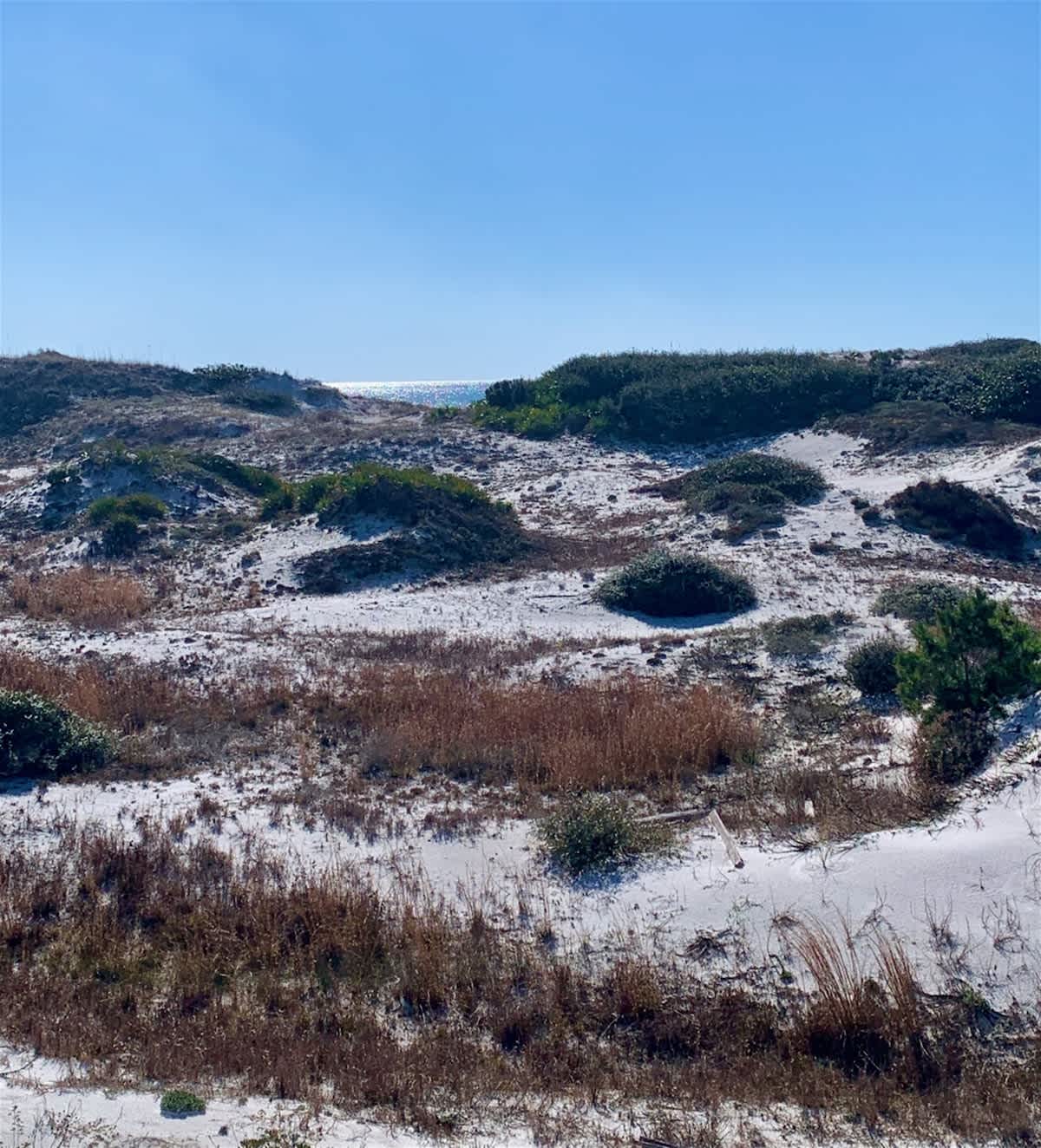 Feeling Tip Sea - Image 31