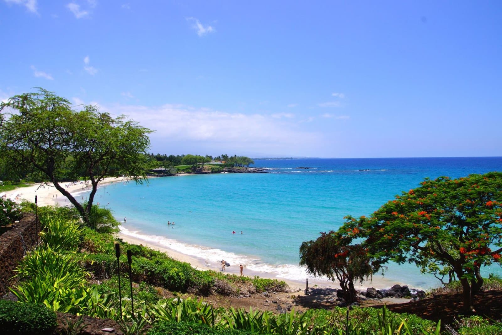 Amaui Residence - Image 38